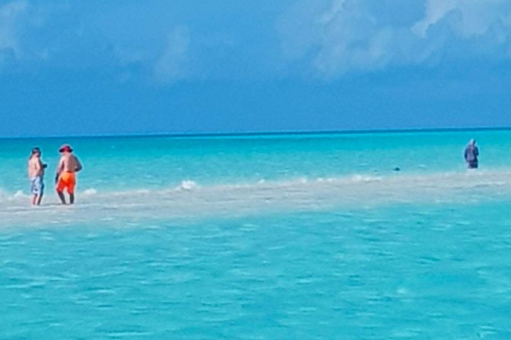 a group of people standing on sand in a body of water